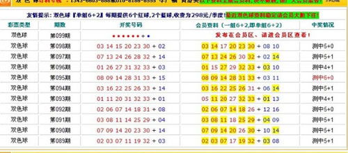 澳门4949最快开奖结果,澳门4949最快开奖结果，探索彩票世界的神秘与魅力